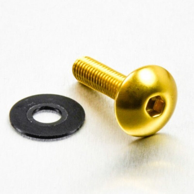 Vis BOLT Tête Ronde M6 X 1 X 16MM - Lot De Vis Métriques