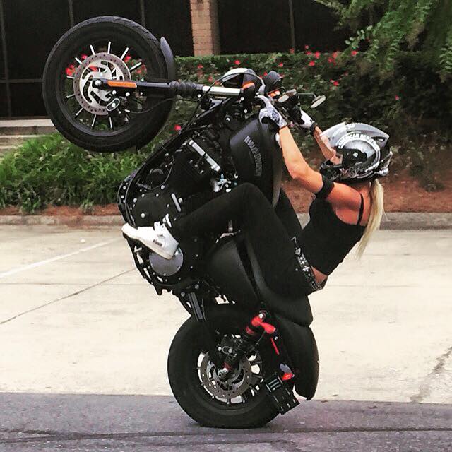 Mejoras en la transmisión final de los modelos Harley-Davidson Sportster