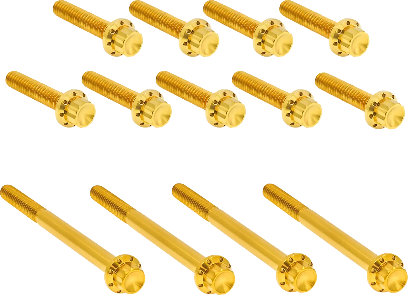 Gold titanium 12-point outer primary cover bolts for Harley Davidson Twin Cam