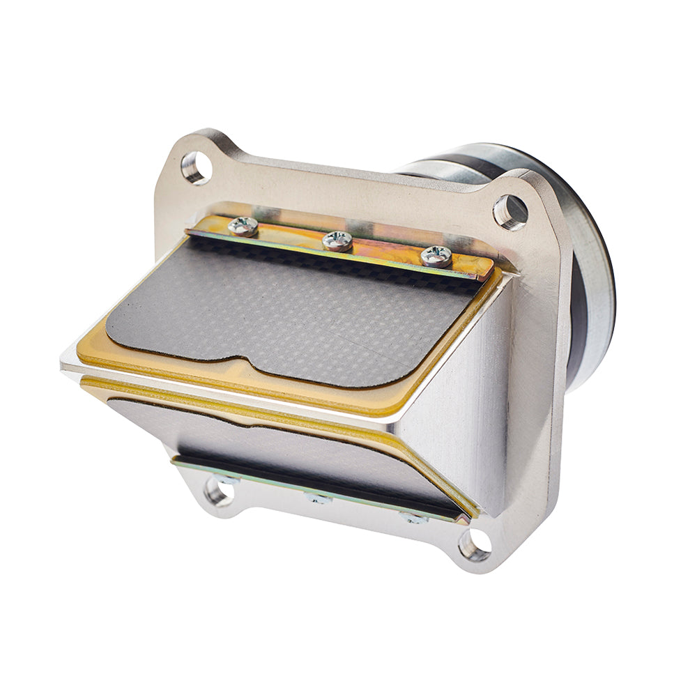 Rad Valves Premix-Version für Beta RR 250 13-24 (alle)