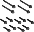 Black Titanium Primary Cover Bolt Kit for Harley Davidson FLT 17-25