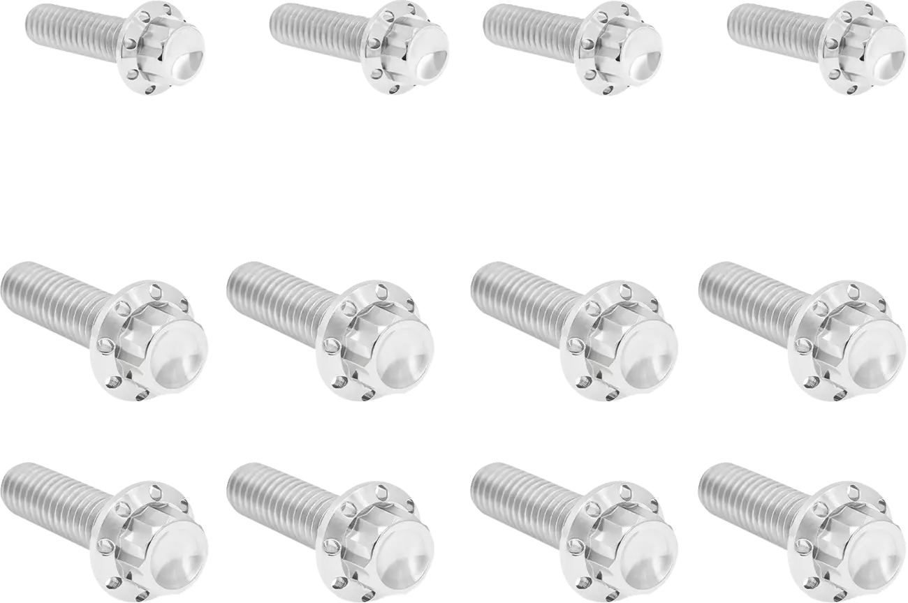 12-point Titanium Transmission Side Cover Screw Kit for Harley Davidson M8