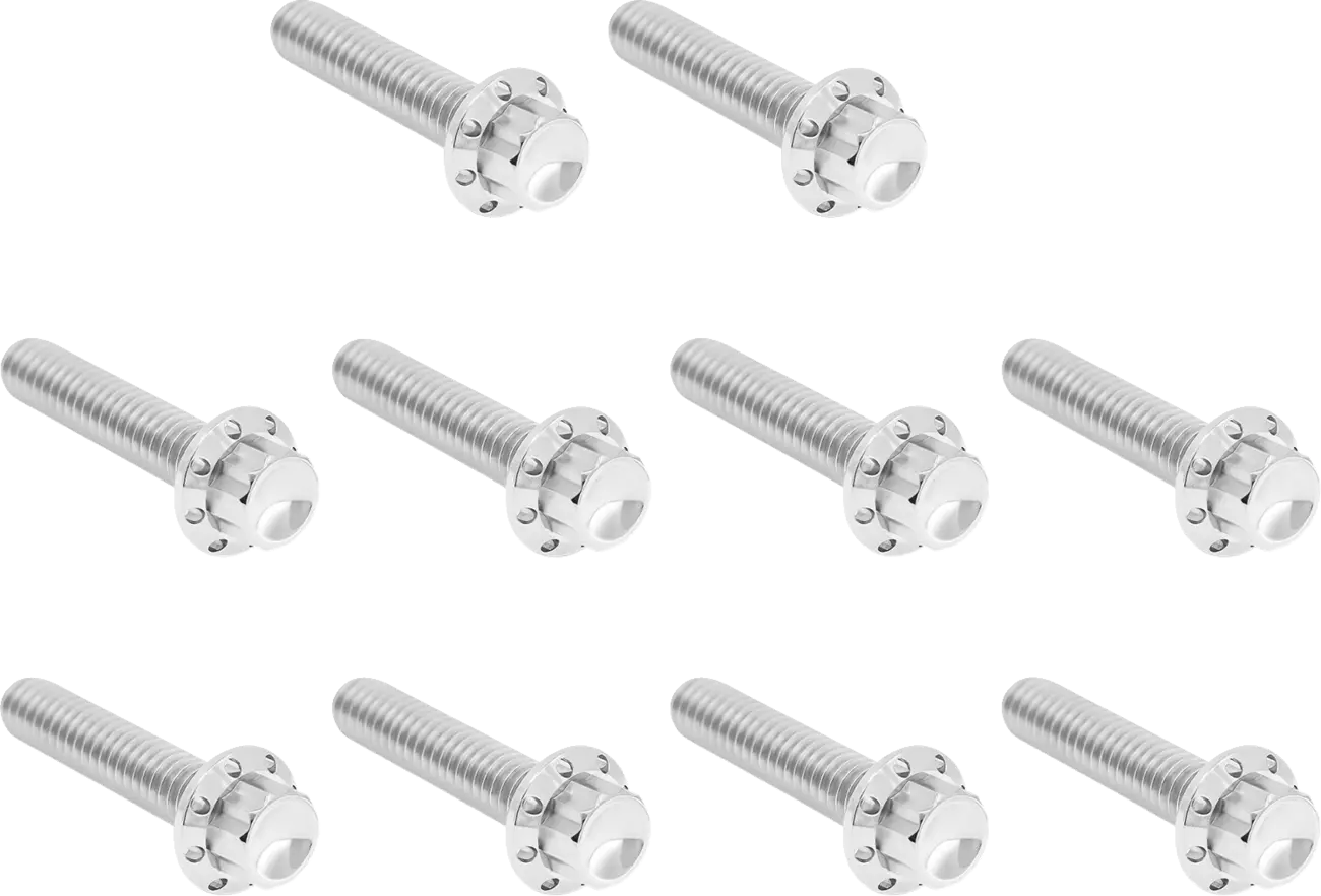 Polished Titanium 12-Point Ignition Cover Screws for Harley Davidson Twin Cam