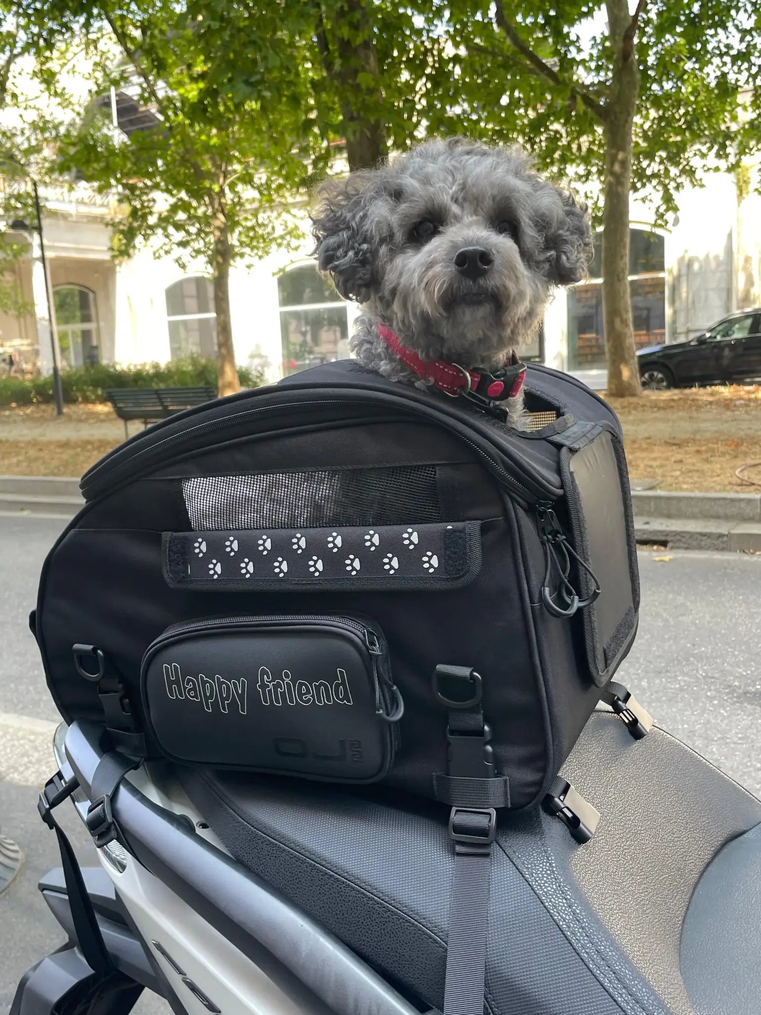 Bolsa portamascotas Pet Bag (30 litros)