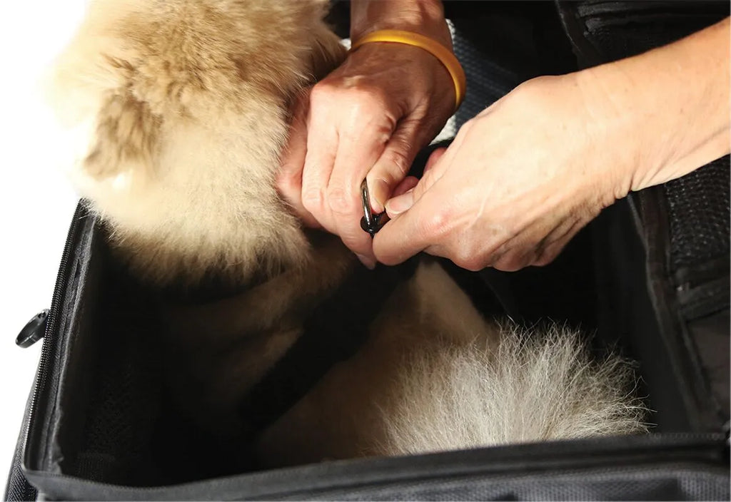 Transportín para mascotas Route 1 Rover