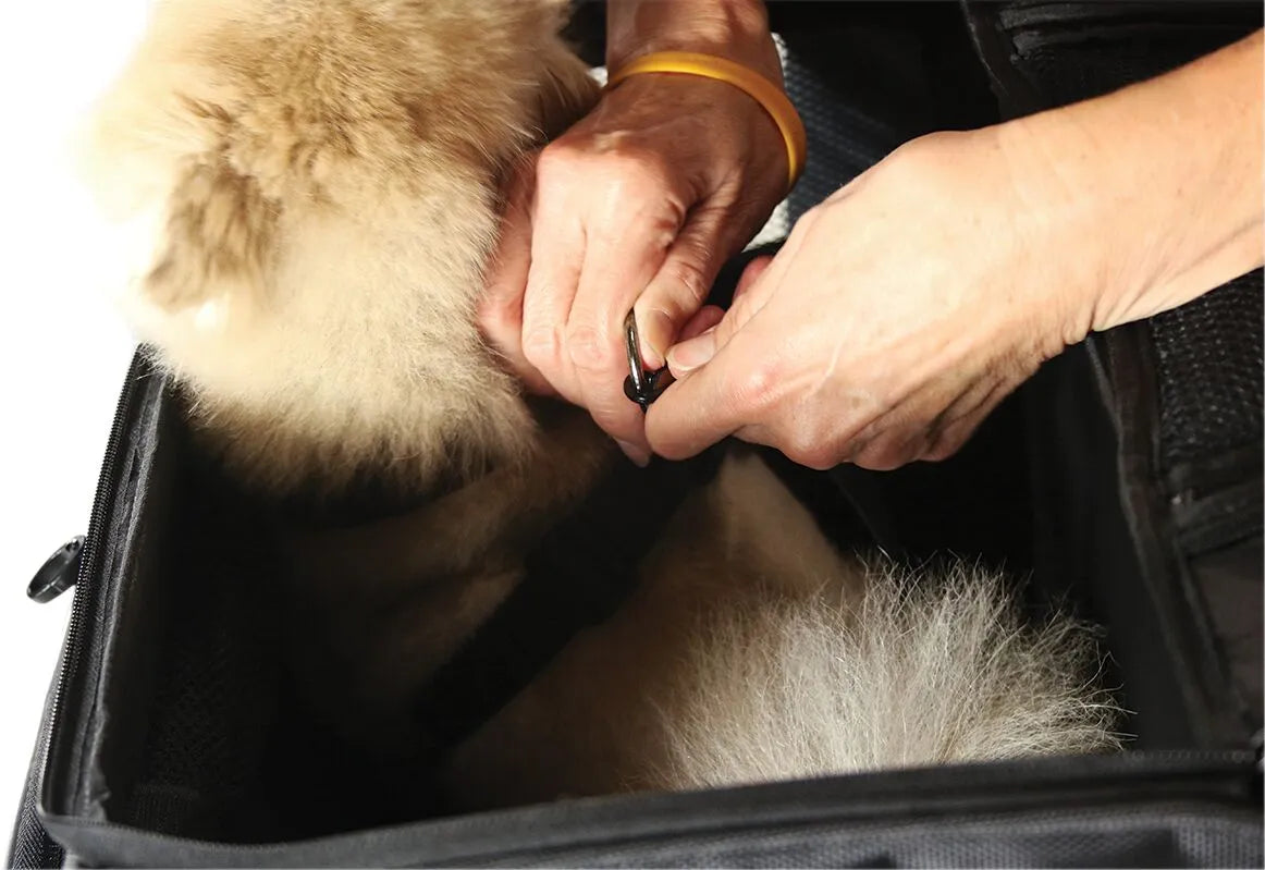 Transportín para mascotas Route 1 Rover