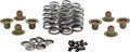 Beehive Valve™ Valve Spring Kit for Harley-Davidson