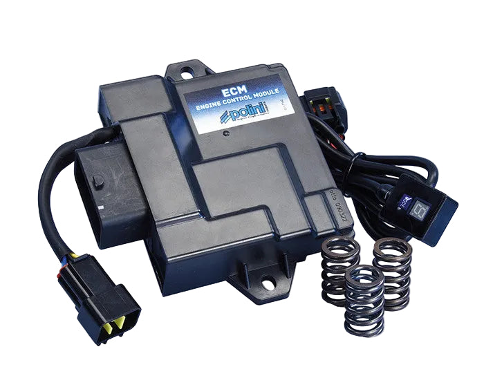 Centralita electrónica Polini para Piaggio Vespa 50 y Liberty 50 Euro5