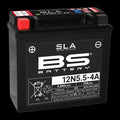 Factory Activated Maintenance-Free AGM Battery SLA