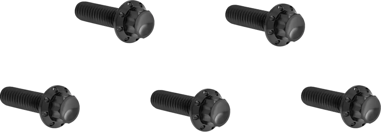 Tornillos tapa Derby 12 puntos titanio para Harley Davidson M8
