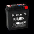 Factory Activated Maintenance-Free AGM Battery SLA