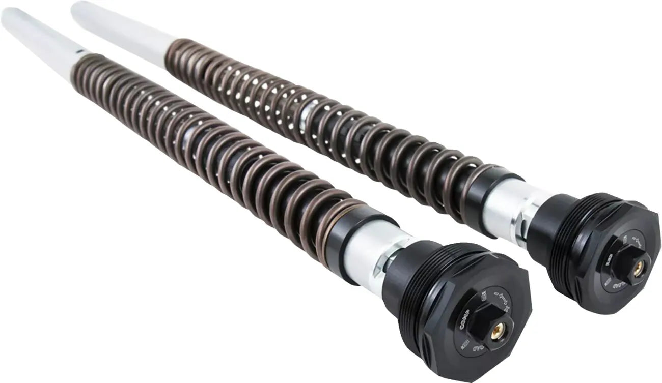 NIX30 Cartridge Kit for Harley Davidson Softail