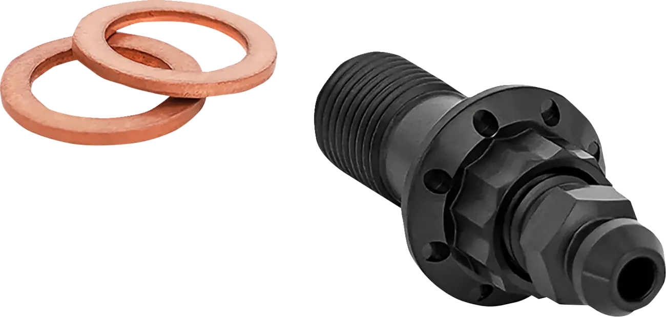 Tornillo banjo de titanio 12 puntos BOLT BANJO BLEEDER - FLT - 10MM - 12-PT - FR - BLACK