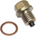 Tornillo De Drenaje Magnético M12 X 1.5 Con Arandela