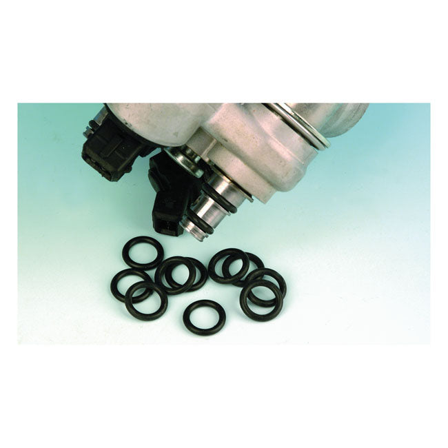James, Fuel Injector O-Ring. Harley-Davidson Center