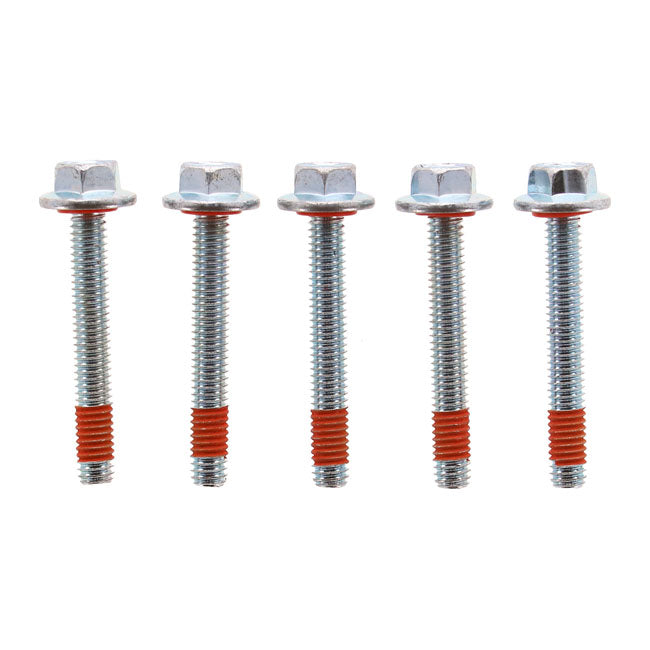 Kit Tornillos Con Junta Carter Primaria Para Harley-Davidson 786A