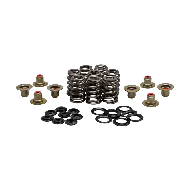 KPMI .550" High Lift Valve Spring Kit. Steel for Harley-Davidson