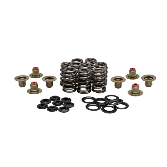 KPMI, High Lifting Valve Spring Kit