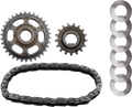 Kit de transmisión por cadena de árbol de levas CHAIN DRIVE Kit W/O TENSIONER - M8 17-UP