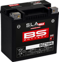 Batería BS AGM SLA MAX BGZ16HL para Harley-Davidson 65958-04C