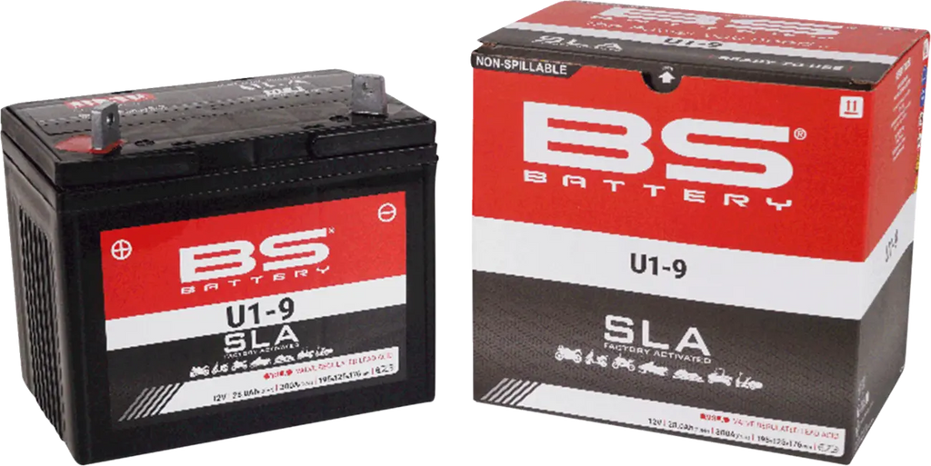 AGM SLA BS U1-9 Battery for ATV/UTV
