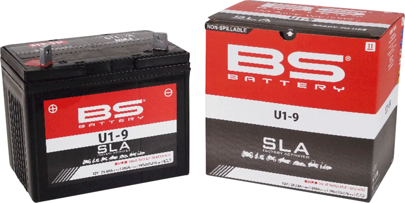 AGM SLA BS U1-9 Battery for ATV/UTV