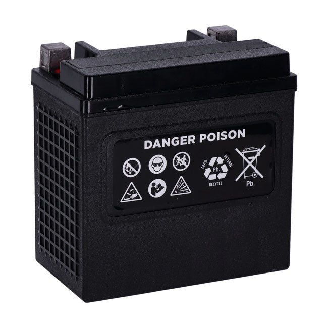 Nano Series 12V, 14Ah, 260CCA Sealed Gel Battery for Harley-Davidson