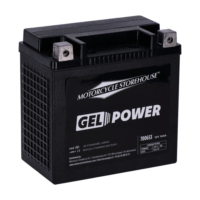 Nano Series 12V, 14Ah, 260CCA Sealed Gel Battery for Harley-Davidson