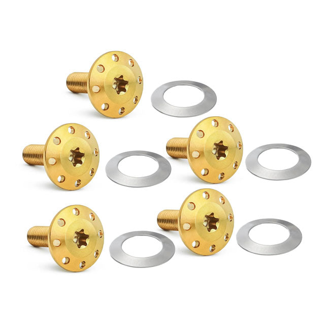 Arlen Ness Titan-Gold-Bremsscheibenschraubensatz für Harley-Davidson