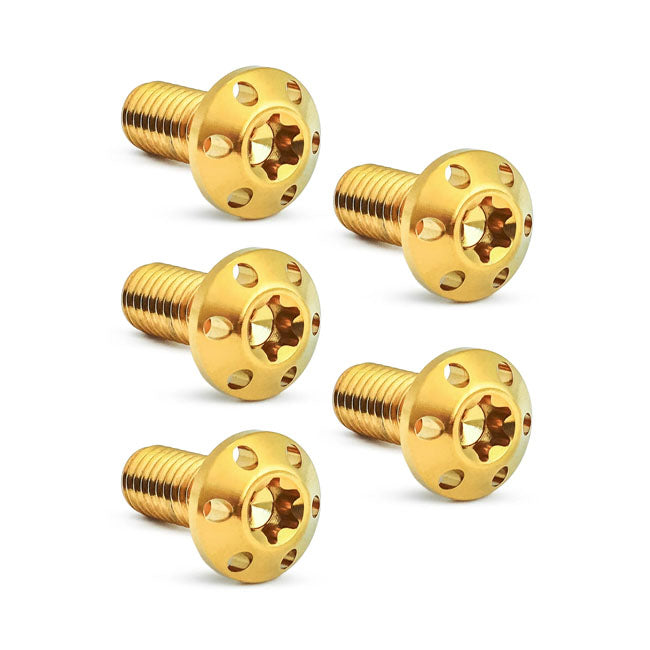 Gold Titanium Front Brake Disc Bolt Kit for Harley Davidson