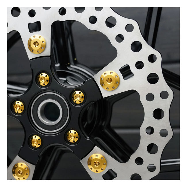 Arlen Ness Gold Titanium Hinterrad-Bremsscheibenschraubensatz für Harley-Davidson
