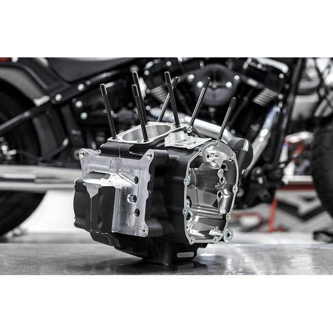 Softailmk-Series 'B' Black Crankcase Assembly for Harley-Davidson