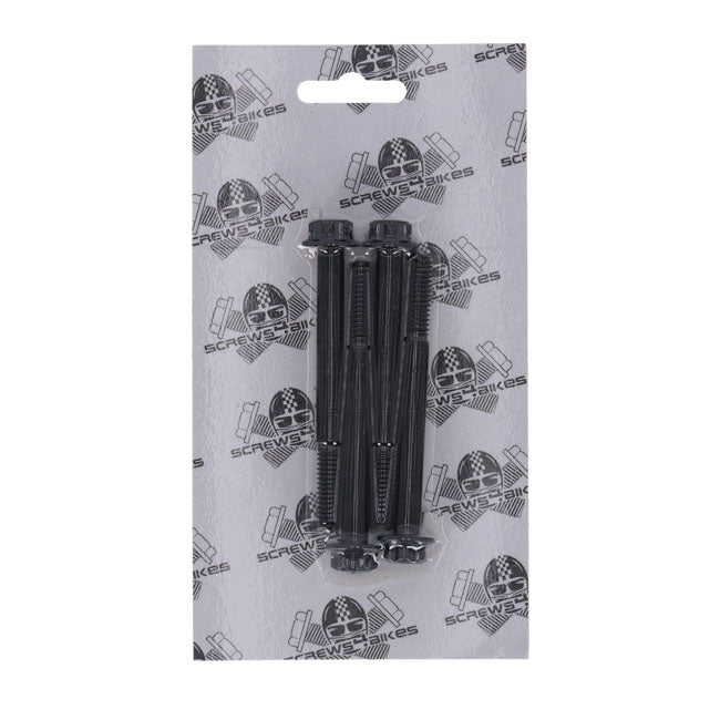 Screws4Bikes, Schraubensatz für Harley Davidson