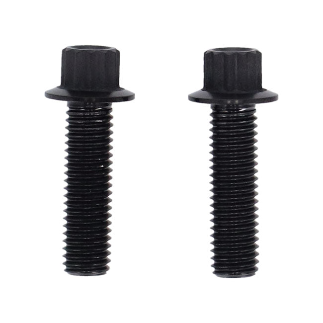 Screws4Bikes, Bremssattel-Schraubensatz für Harley Davidson