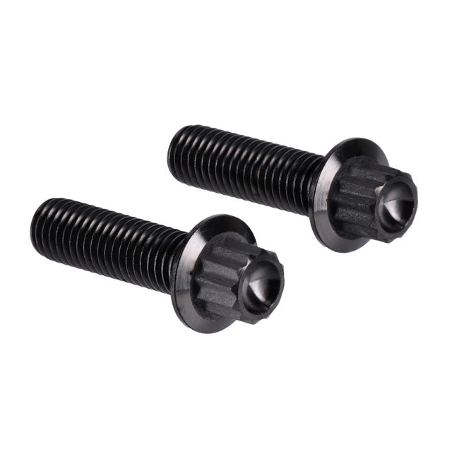 Screws4Bikes, Bremssattel-Schraubensatz für Harley Davidson