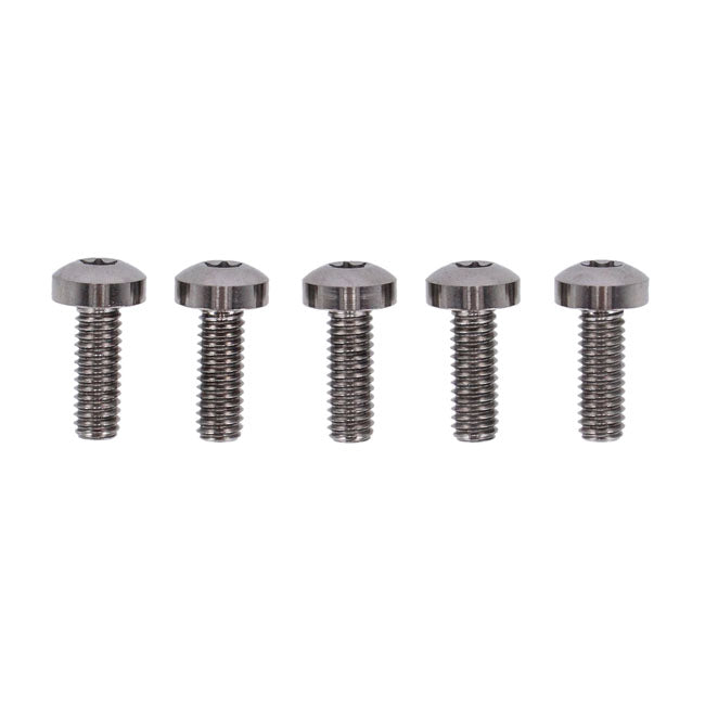 Screws4Bikes, Schraubensatz für die vordere Bremsscheibe für Harley Davidson