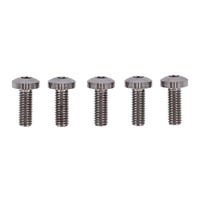 Screws4Bikes, Rear Brake Disc Screw Kit for Harley Davidson