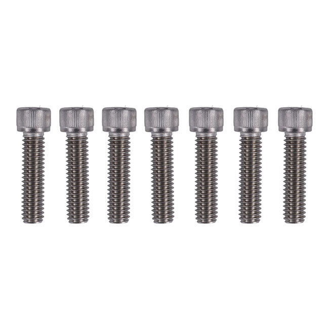 Schraubensatz zur Vorderradgabelhalterung für Harley Davidson