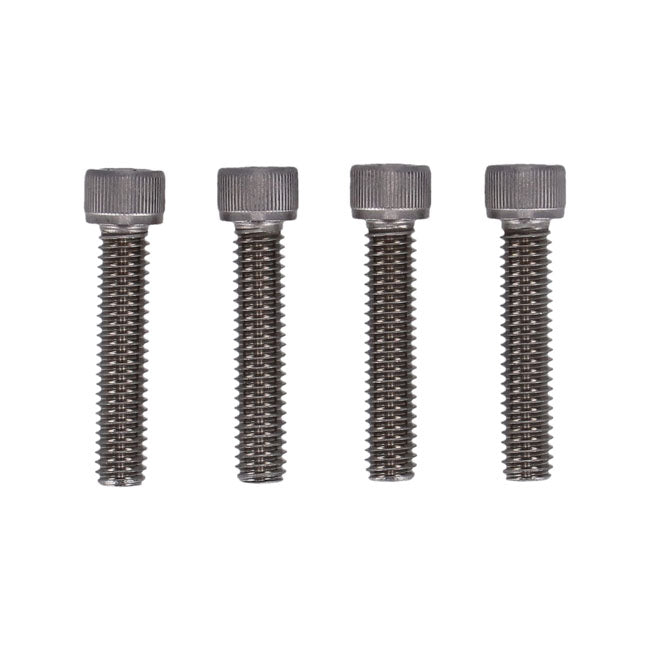 Kit De Tornillos Guardabarros Delantero Para Harley Davidson