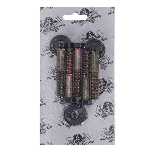 Screws4Bikes, Riemenscheiben-Schraubensatz für Harley Davidson