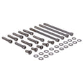 Kit De Tornillos Tapa Primaria Para Harley Davidson