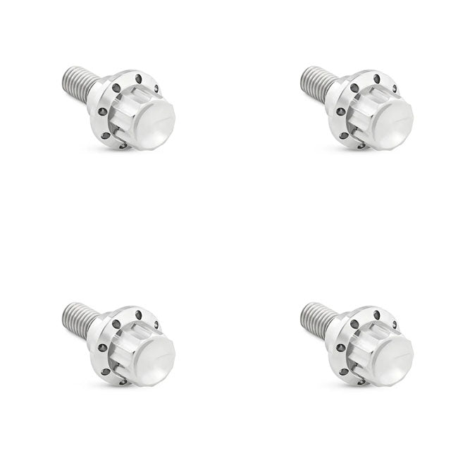 Arlen Ness Titanium Windshield Screw Kit for Harley Davidson