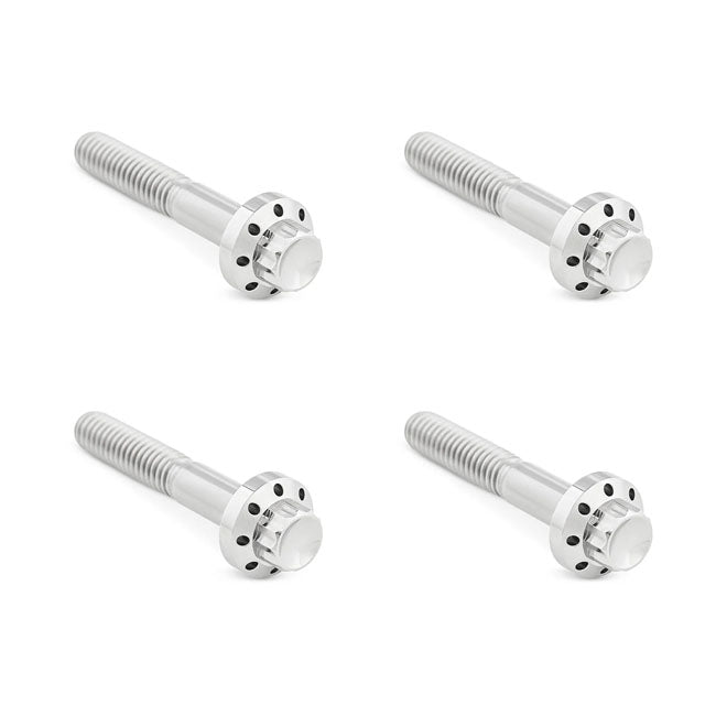 Arlen Ness, Kit Tornillos Titanio Para Guardabarros Para Harley Davidson