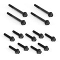Arlen Ness Titanium Primary Cover Bolt Kit for Harley Davidson