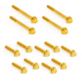 Arlen Ness Titanium Primary Cover Bolt Kit for Harley Davidson