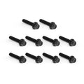 Arlen Ness, Kit Tornillos Titanio Para Tapas De Levas Para Harley Davidson