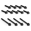 Arlen Ness Titanium Primary Cover Bolt Kit for Harley Davidson
