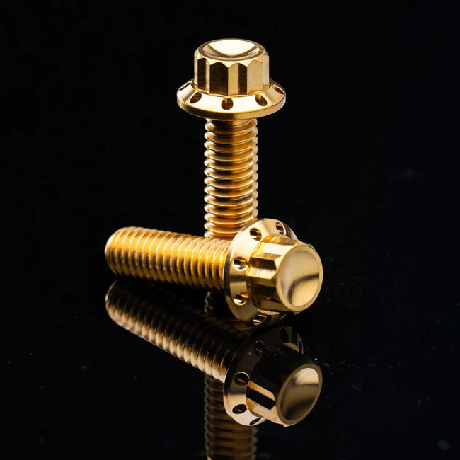 Arlen Ness, Kit Tornillos Titanio Para Tapa Primaria Para Harley Davidson