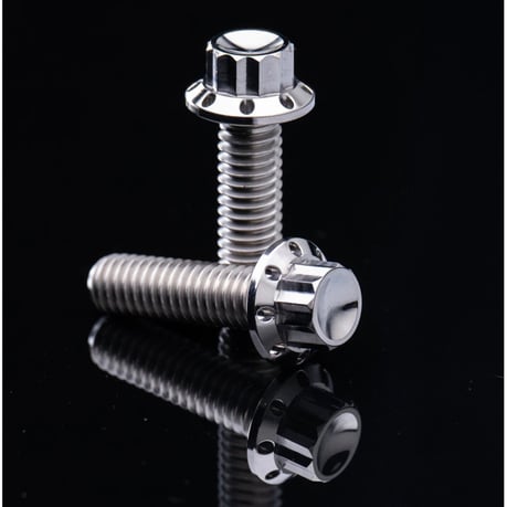 Arlen Ness, titanium transmission cover screw kit for Harley Davidson