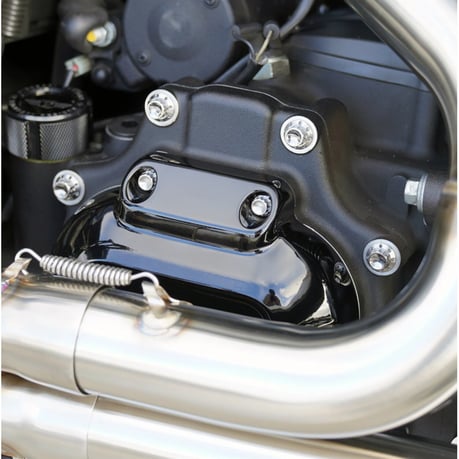 Arlen Ness, titanium transmission cover screw kit for Harley Davidson